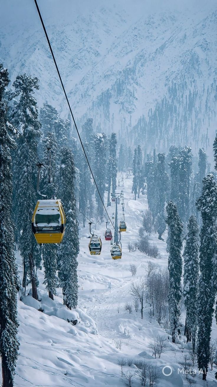 Himalayan Trips