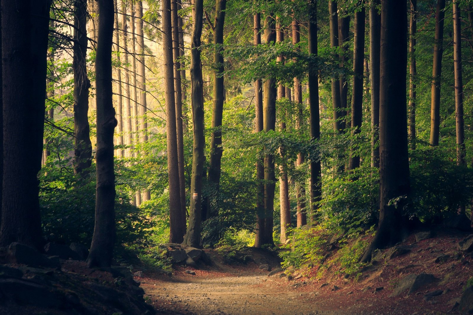 Manali – Kasol Escape